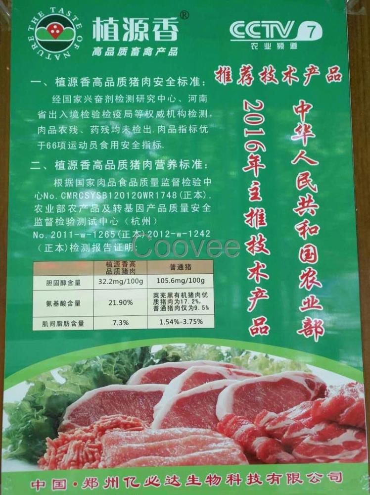 河南綠色豬肉