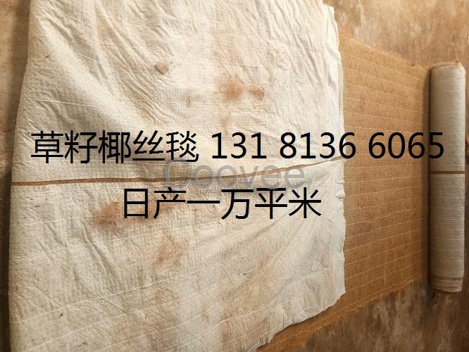 環保草毯 生態植被毯 綠化椰毯