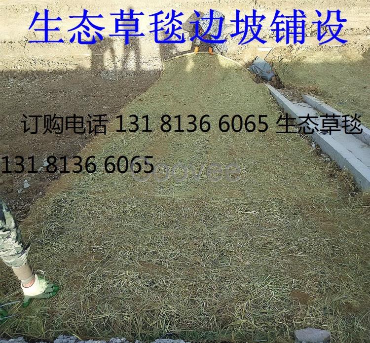 生態草毯 環保草毯 椰絲毯 植物纖維毯