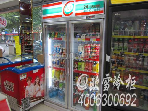 東莞市東坑兩門飲料柜啤酒冷藏儲(chǔ)存柜