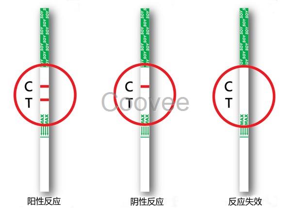 大豆食品過敏原快速檢測試紙條