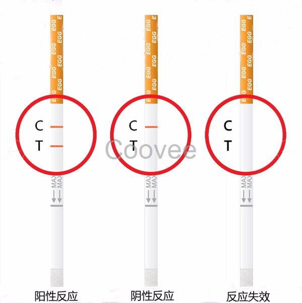 蛋類EGG食品過敏原快速檢測試紙條