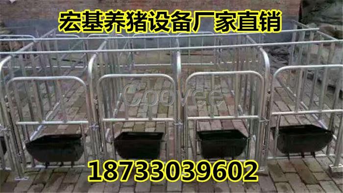 出售十個豬位帶食槽母豬保胎欄小豬育肥欄加厚豬床