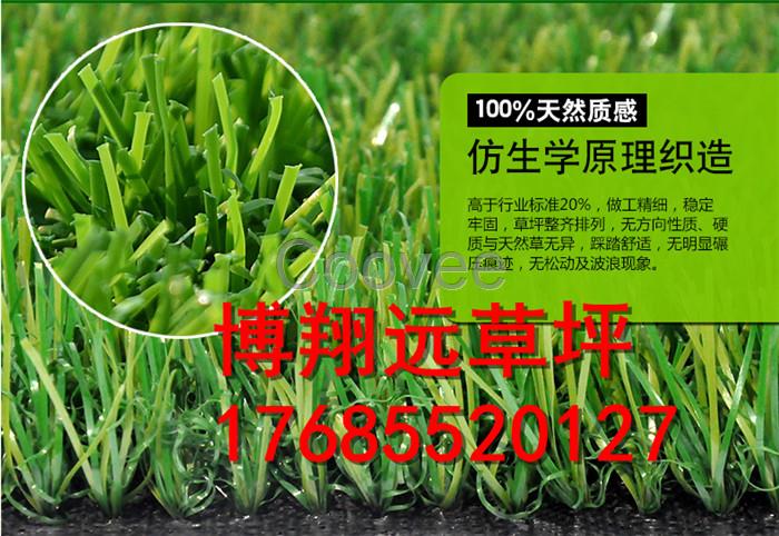 中小學操場專用人工草坪批發銷售#濟寧