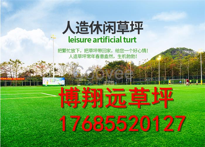 淺析人造草坪與天然草坪利與弊