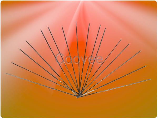 不銹鋼燒烤簽廠家制作直銷供應銷售