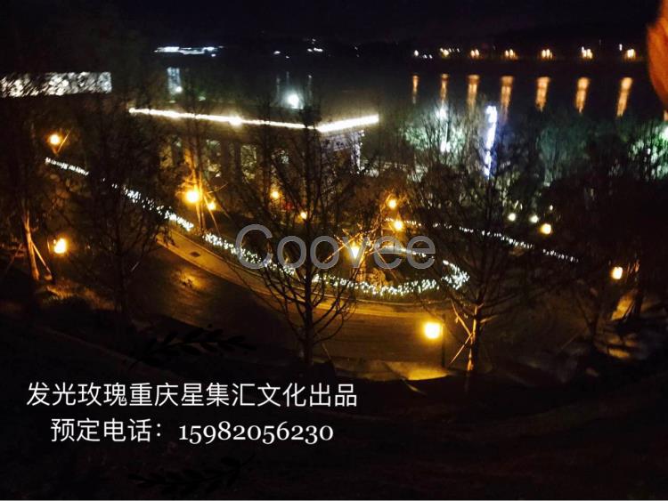 重慶發光玫瑰出租出售