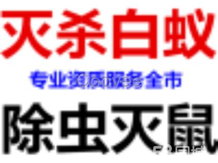 東莞市白蟻防治中心東莞白蟻防治公司東莞白蟻防治