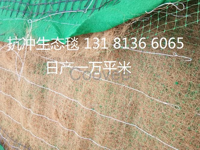 植物纖維毯環(huán)保草毯椰絲毯