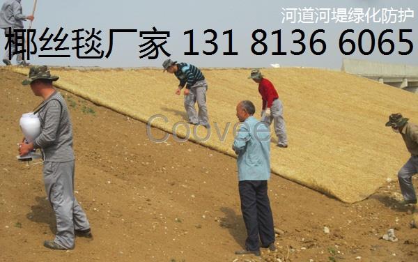 生態毯植物纖維毯環保草毯