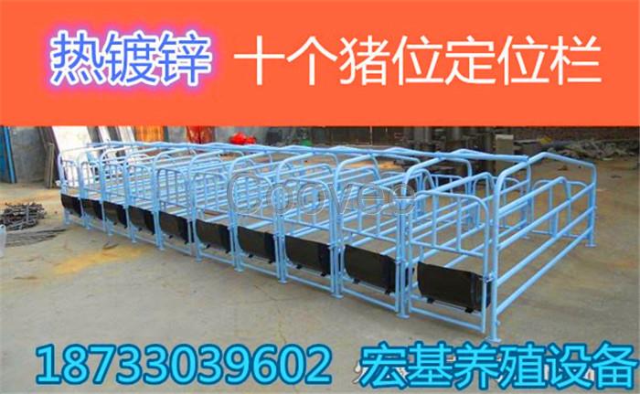 云南限位欄母豬保胎欄低價批發