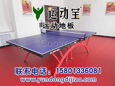 乒乓球地板乒乓球場地地板乒乓球運動地地板