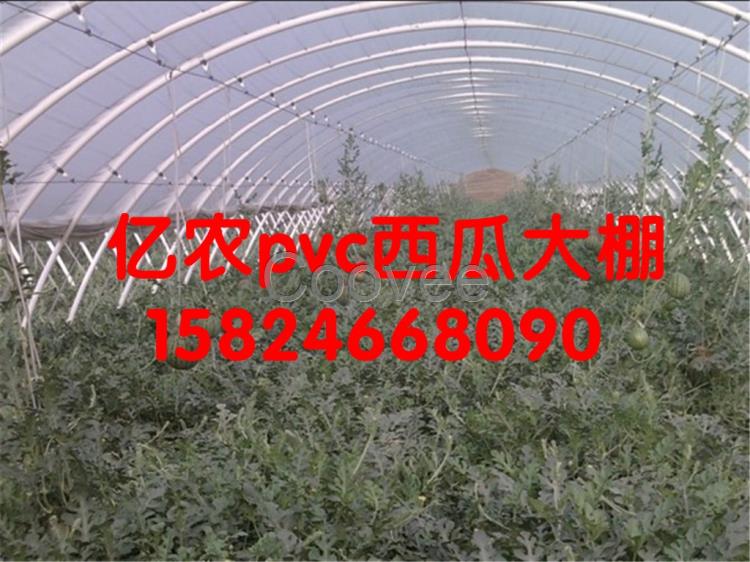 开封机制刚大棚保定几字钢大棚建设衡水机制刚大棚设计河北几字刚