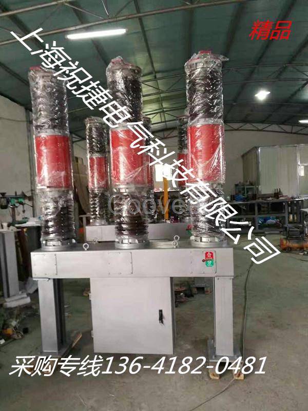 35KV電站產品高壓斷路器ZW30-40.5/1600祝捷