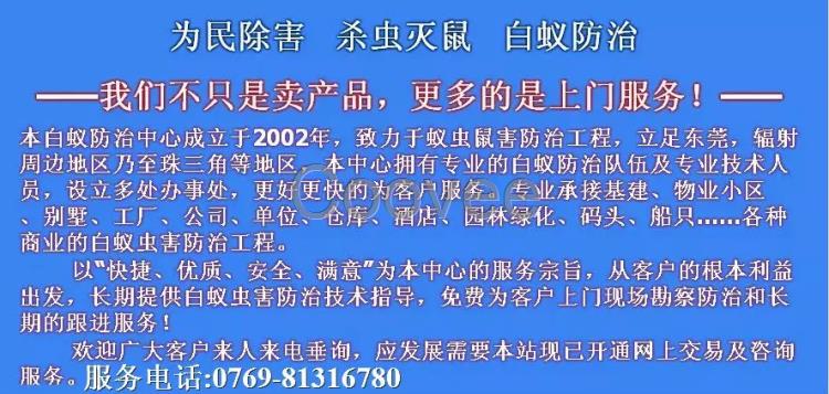 東莞市白蟻公司市白蟻防治所上門滅白蟻服務