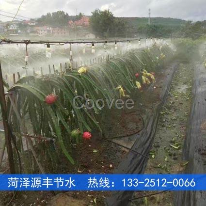長治大棚芹菜噴灌工程實(shí)施方案