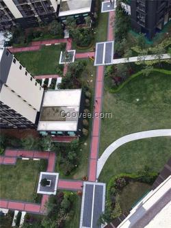 香港海棉城市材料|順梓青|海棉城市材料