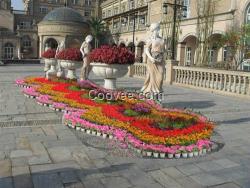 黃陂花卉,雅淳花卉(圖),花卉設(shè)計