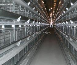 肉雞籠,萬隆設備養殖設備,雞籠