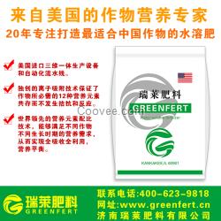 濟南瑞萊水溶肥平衡型