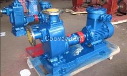 自吸泵,中開泵業(yè),自吸排污泵