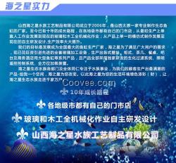 大型玻璃魚缸價格、玻璃魚缸、海之星水族公