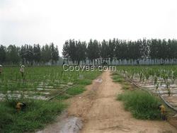 高標準農田給水栓|給水栓|九州通給水設備