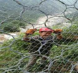 環形網生產、環形網、安平騰和