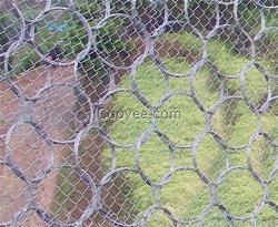 環(huán)形網(wǎng),安平騰和,環(huán)形網(wǎng)規(guī)格