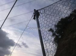 安平騰和(圖)、環形網施工、環形網