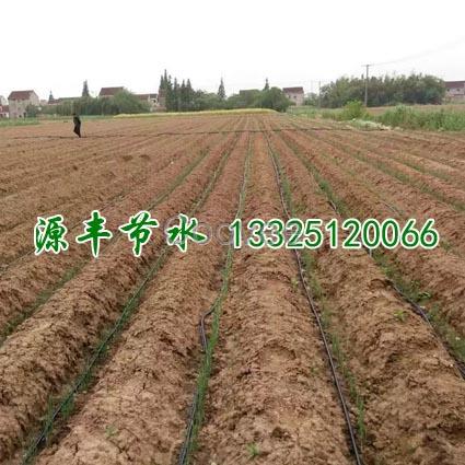 蘇州蔬菜滴灌帶廠家批發