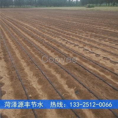 徐州大棚蔬菜膜下滴灌帶價位