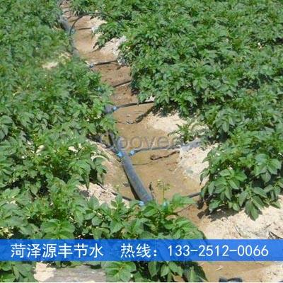 通遼馬鈴薯安滴灌視頻