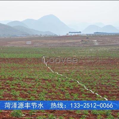 烏蘭浩特馬玲薯膜下灌溉水肥系統設計