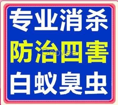 南城白蟻防治殺蟲滅鼠公司