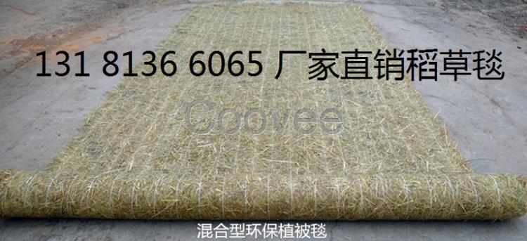 cf網環保草毯椰絲毯公路邊坡綠化抗沖生物毯植物纖維毯