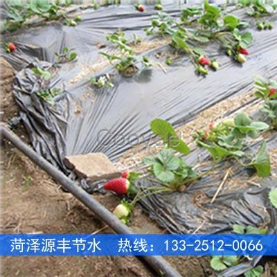 鎮江蔬菜大棚滴灌系統規劃施工