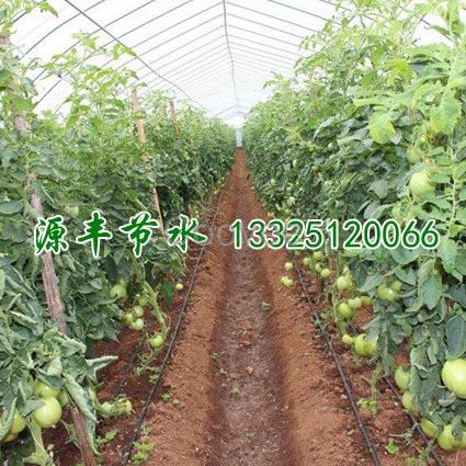 常州蔬菜大棚滴灌帶閥門一個價位