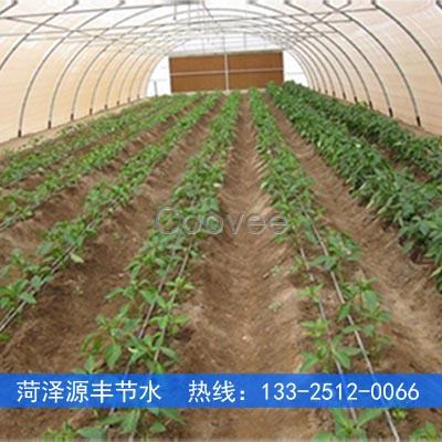 蕪湖蔬菜大棚滴灌每畝地造價