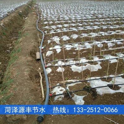 宿州大棚蔬菜20內鑲式滴灌管批發