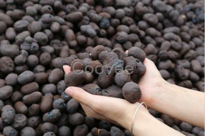 淮安回填陶粒淮安頁巖陶粒淮安陶粒砂