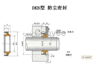 DKB型NOK防塵密封