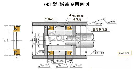 ODI型活塞专用密封