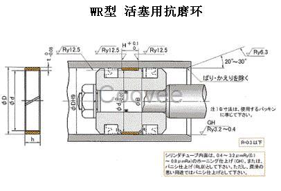 WR系列抗磨環(huán)