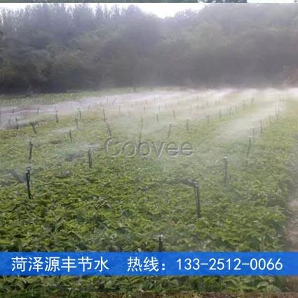 鹽城大棚蔬菜微噴灌管材供應(yīng)商