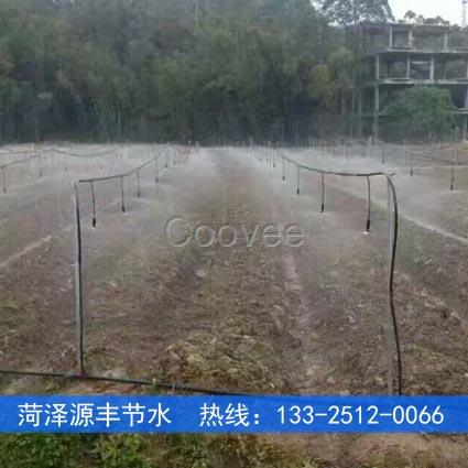 免費提供咸陽蔬菜噴灌工程上門設(shè)計