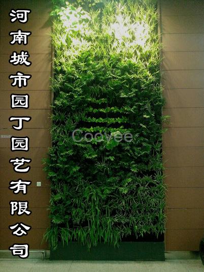 城市園丁鄭州別墅植物墻-河南城市園丁墻體綠化