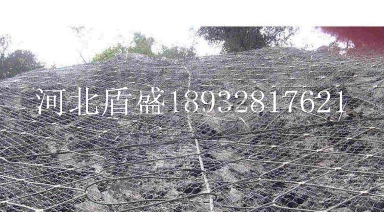 現(xiàn)貨批發(fā)絞索網(wǎng)蜘蛛網(wǎng)-河北盾盛廠家直銷