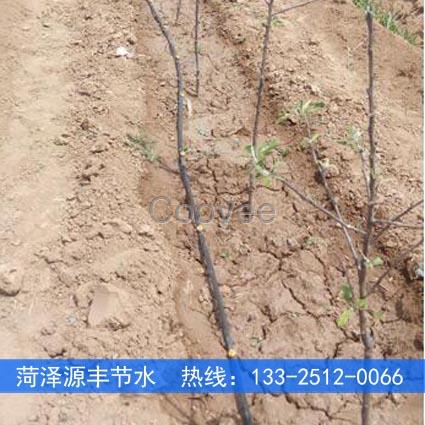 江蘇蘋果樹滴灌穩流器4L批發