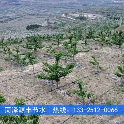 徐州蘋果樹水肥一體化滴灌系統造價